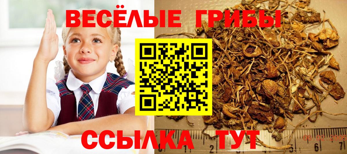 Рассказово  Псилоцибиновые грибы ЛСД  Вход с VPN 